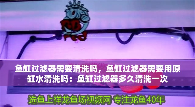 魚缸過濾器需要清洗嗎，魚缸過濾器需要用原缸水清洗嗎：魚缸過濾器多久清洗一次