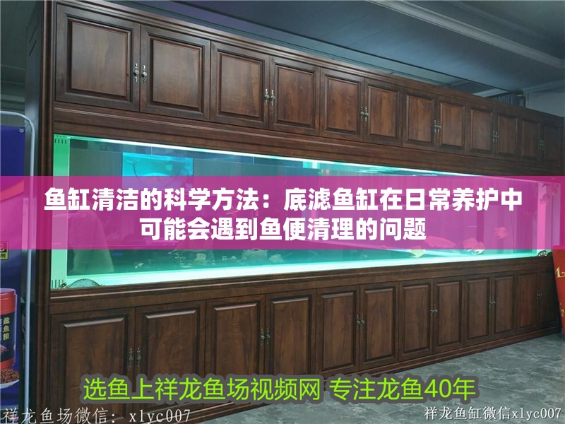 魚(yú)缸清潔的科學(xué)方法：底濾魚(yú)缸在日常養(yǎng)護(hù)中可能會(huì)遇到魚(yú)便清理的問(wèn)題