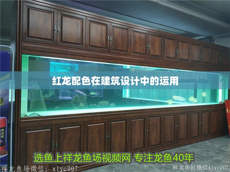 紅龍配色在建筑設計中的運用 紅龍配色在建筑設計中的運用 龍魚百科