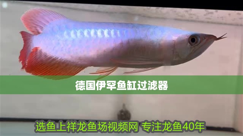 德國伊罕魚缸過濾器