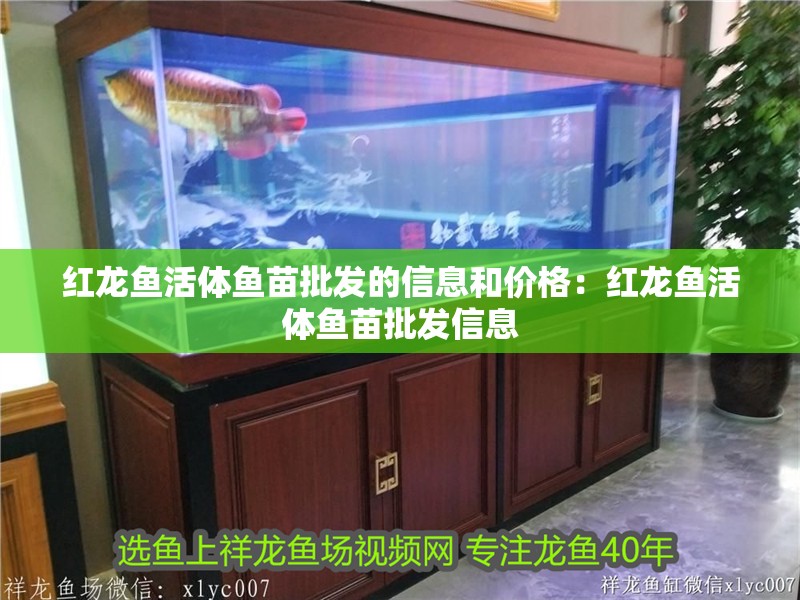 紅龍魚(yú)活體魚(yú)苗批發(fā)的信息和價(jià)格：紅龍魚(yú)活體魚(yú)苗批發(fā)信息