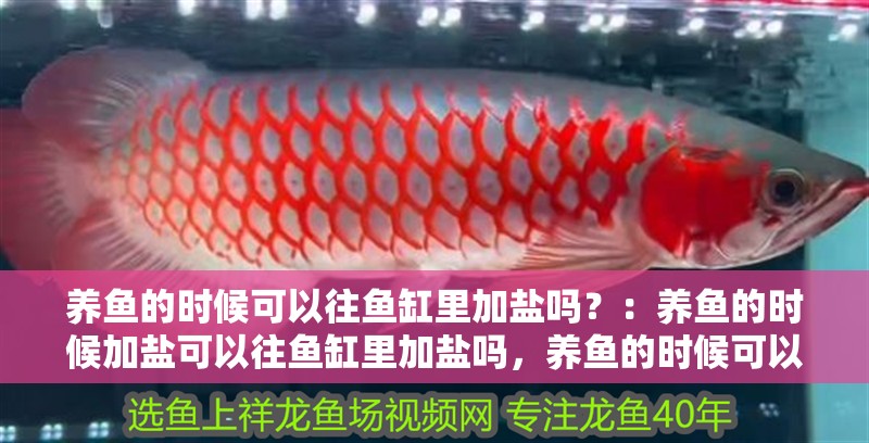 我的虎魚真菌感染了要怎么處理 養(yǎng)魚的時(shí)候可以往魚缸里加鹽嗎?:養(yǎng)魚的時(shí)候加鹽可以往魚缸里加鹽嗎,養(yǎng)魚的時(shí)候可以加鹽嗎 魚缸百科 養(yǎng)魚的時(shí)候可以往魚缸里加鹽嗎?:養(yǎng)魚的時(shí)候加鹽可以往魚缸里加鹽嗎,養(yǎng)魚的時(shí)候可以加鹽嗎 養(yǎng)魚的時(shí)候可以往魚缸里加鹽嗎?:養(yǎng)魚的時(shí)候加鹽可以往魚缸里加鹽嗎,養(yǎng)魚的時(shí)候可以加鹽嗎 魚缸百科