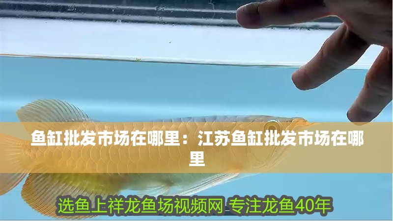 魚缸批發(fā)市場在哪里：江蘇魚缸批發(fā)市場在哪里 魚缸批發(fā)市場在哪里：江蘇魚缸批發(fā)市場在哪里 魚缸百科