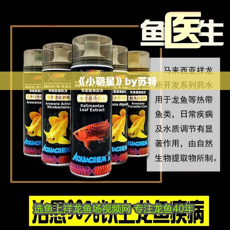 《小明星》by蘇特