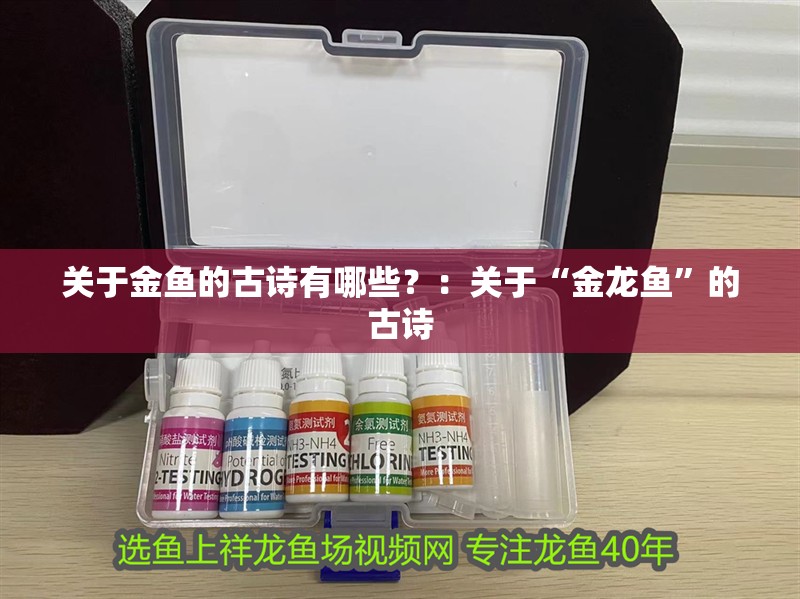 關于金魚的古詩有哪些？：關于“金龍魚”的古詩