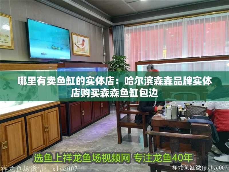 哪里有賣魚缸的實體店：哈爾濱森森品牌實體店購買森森魚缸包邊