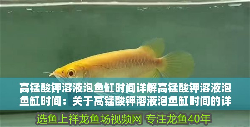 高錳酸鉀溶液泡魚缸時間詳解高錳酸鉀溶液泡魚缸時間：關于高錳酸鉀溶液泡魚缸時間的詳細指南 高錳酸鉀溶液泡魚缸時間詳解高錳酸鉀溶液泡魚缸時間：關于高錳酸鉀溶液泡魚缸時間的詳細指南 魚缸百科