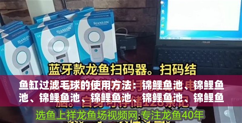 魚缸過濾毛球的使用方法：錦鯉魚池、錦鯉魚池、錦鯉魚池、錦鯉魚池、錦鯉魚池、錦鯉魚池