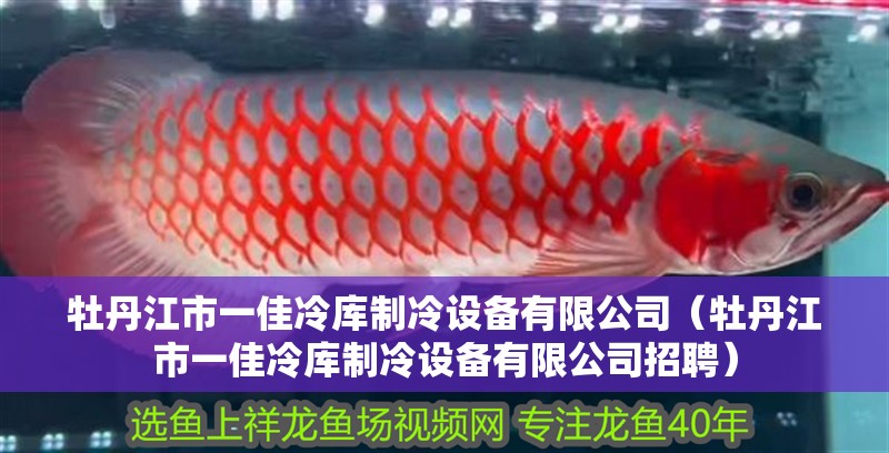 <strong><mark>牡丹江</mark></strong>市一佳冷庫制冷設備有限公司（<strong><mark>牡丹江</mark></strong>市一佳冷庫制冷設備有限公司招聘）