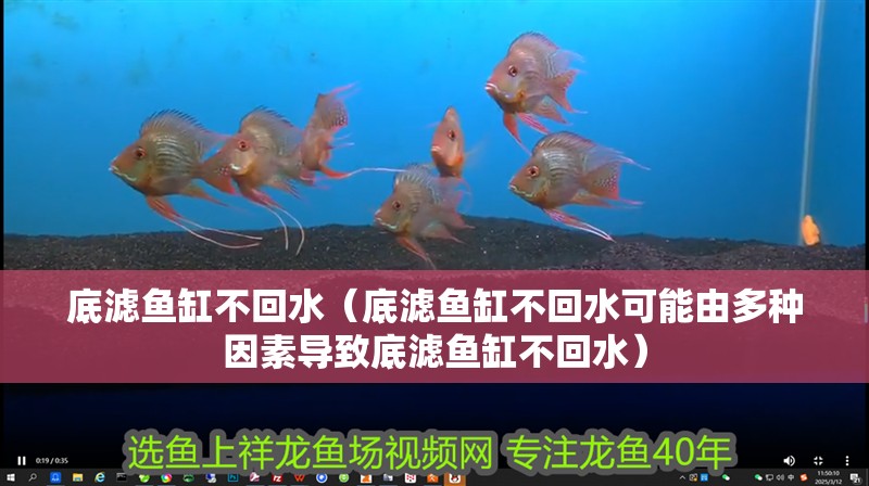 給大魚缸換水的作文:體驗給大魚缸換水的樂趣:體驗給大魚缸換水:給大魚缸換水的作文 底濾魚缸不回水(底濾魚缸不回水可能由多種因素導致底濾魚缸不回水) 魚缸百科 底濾魚缸不回水(底濾魚缸不回水可能由多種因素導致底濾魚缸不回水) 底濾魚缸不回水(底濾魚缸不回水可能由多種因素導致底濾魚缸不回水) 魚缸百科