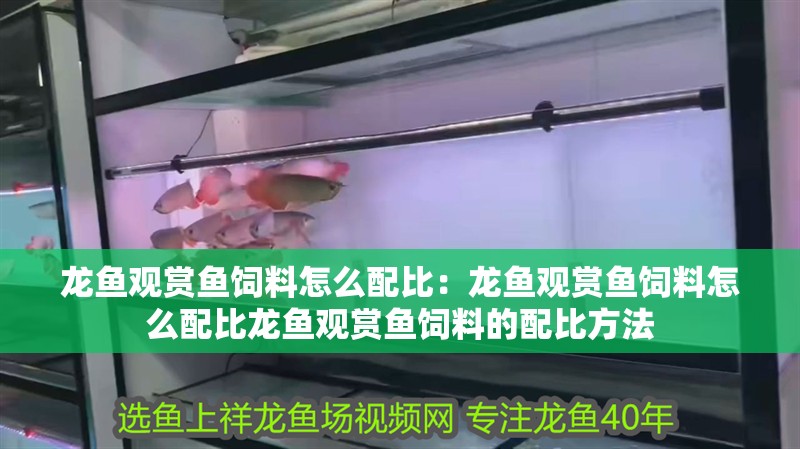 龍魚觀賞魚飼料怎么配比：龍魚觀賞魚飼料怎么配比龍魚觀賞魚飼料的配比方法 龍魚觀賞魚飼料怎么配比：龍魚觀賞魚飼料怎么配比龍魚觀賞魚飼料的配比方法 龍魚百科