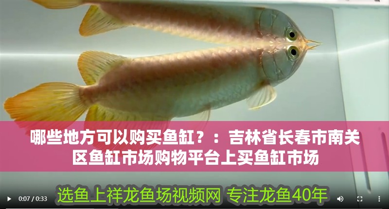 哪些地方可以購買魚缸？：吉林省長春市南關區魚缸市場購物平臺上買魚缸市場
