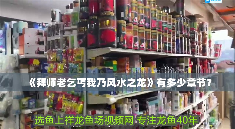 《拜師老乞丐我乃風水之龍》有多少章節？