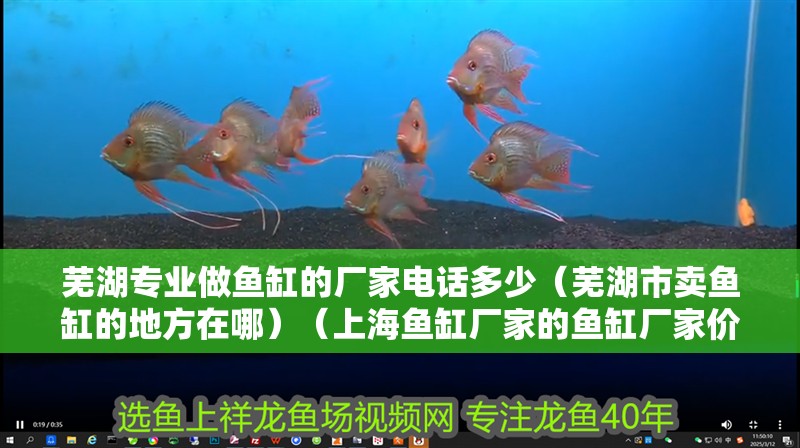 蕪湖專業做魚缸的廠家電話多少（蕪湖市賣魚缸的地方在哪）（上海魚缸廠家的魚缸廠家價格是多少，魚缸廠家價格是多少）