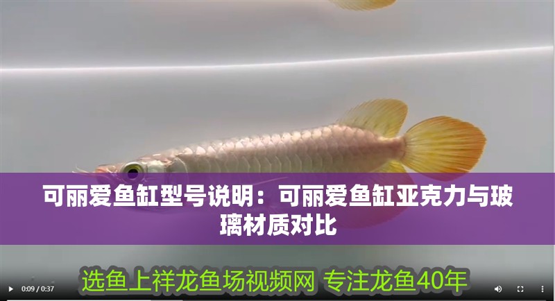 可麗愛魚缸型號說明：可麗愛魚缸亞克力與玻璃材質對比