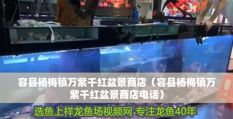 容縣楊梅鎮(zhèn)萬紫千紅盆景商店（容縣楊梅鎮(zhèn)萬紫千紅盆景商店電話）