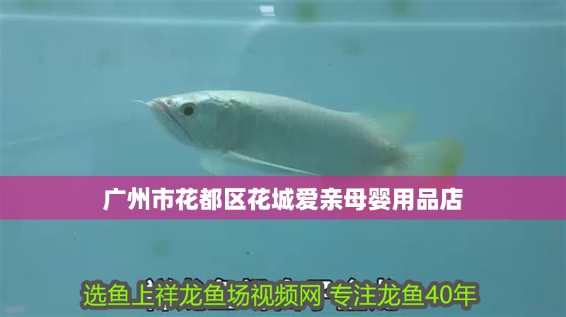 廣州市花都區花城愛親母嬰用品店
