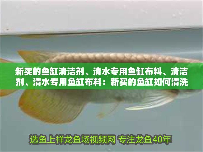 新買的魚缸清潔劑、清水專用魚缸布料、清潔劑、清水專用魚缸布料：新買的魚缸如何清洗？ 新買的魚缸清潔劑、清水專用魚缸布料、清潔劑、清水專用魚缸布料：新買的魚缸如何清洗？ 魚缸百科