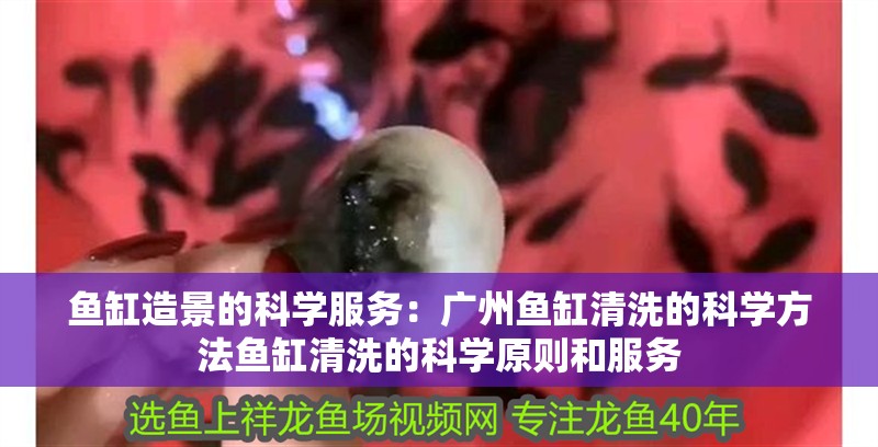 魚缸造景的科學服務：廣州魚缸清洗的科學方法魚缸清洗的科學原則和服務