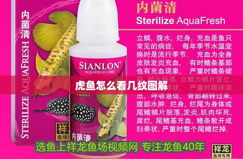 虎魚怎么看幾紋圖解