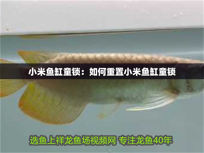 小米魚(yú)缸童鎖：如何重置小米魚(yú)缸童鎖