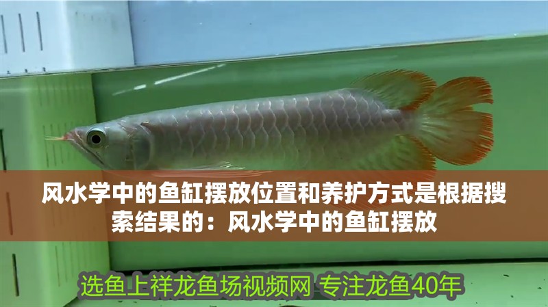 風水學中的魚缸擺放位置和養護方式是根據搜索結果的：風水學中的魚缸擺放
