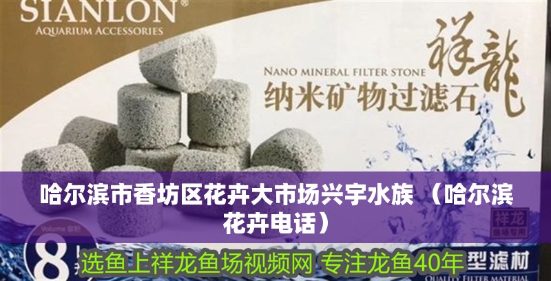 哈爾濱市香坊區(qū)花卉大市場興宇水族 （哈爾濱花卉電話）