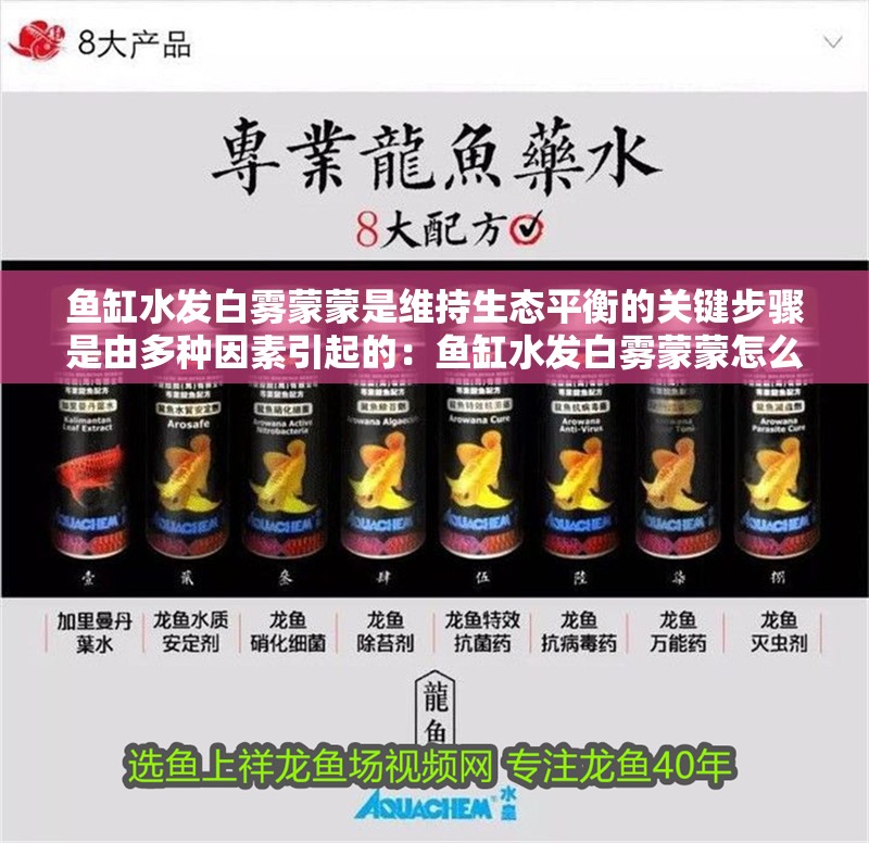 魚缸水發白霧蒙蒙是維持生態平衡的關鍵步驟是由多種因素引起的：魚缸水發白霧蒙蒙怎么辦