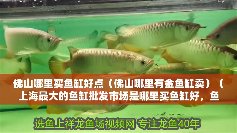 <strong><mark>佛山</mark></strong>哪里買魚缸好點（<strong><mark>佛山</mark></strong>哪里有金魚缸賣）（上海最大的魚缸批發市場是哪里買魚缸好，魚缸型材價格及廠家推薦）