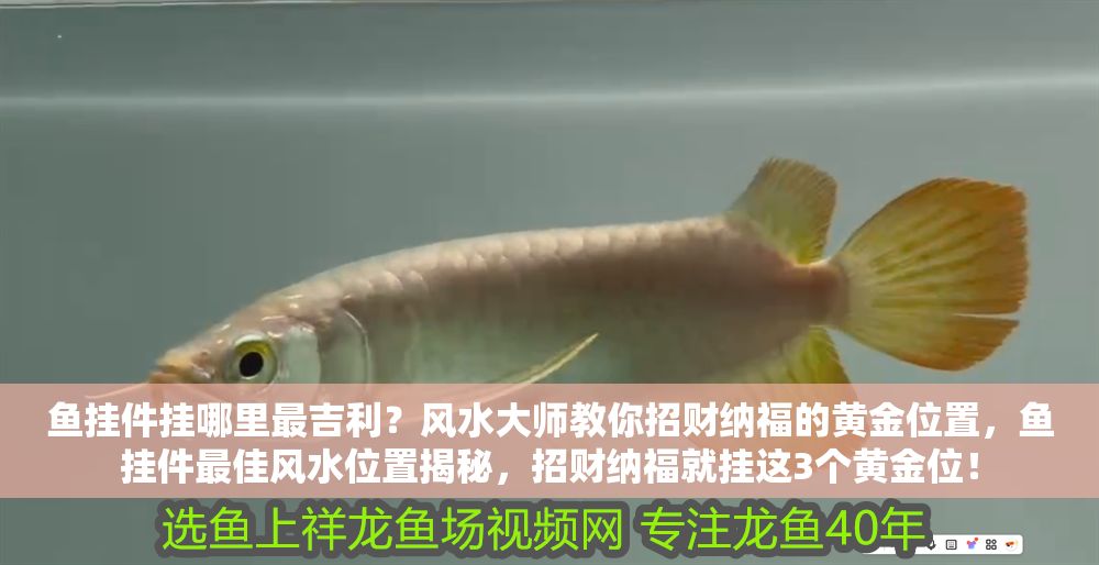 魚掛件掛哪里最吉利？風水大師教你招財納福的黃金位置，魚掛件最佳風水位置揭秘，招財納福就掛這3個黃金位！
