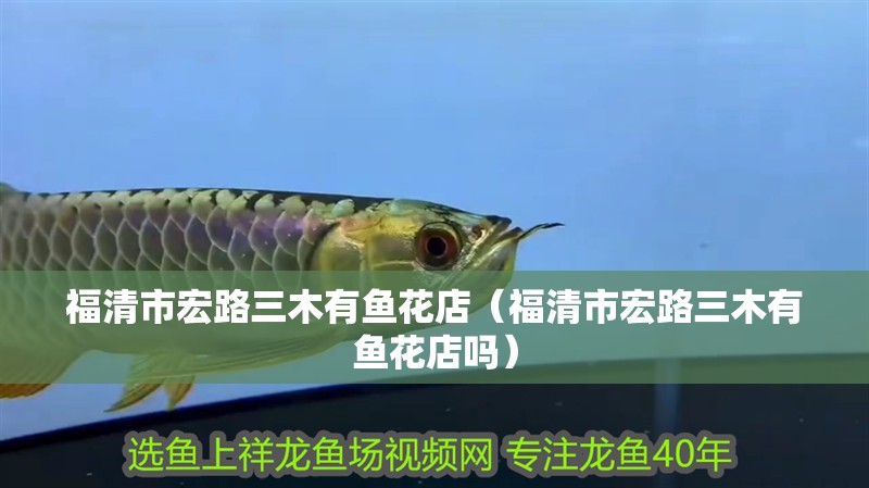 福清市宏路三木有魚花店（福清市宏路三木有魚花店嗎）