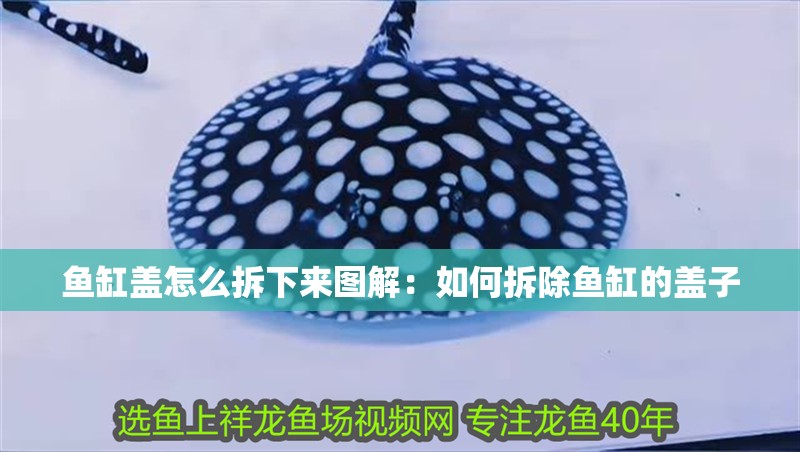 魚缸蓋怎么拆下來圖解：如何拆除魚缸的蓋子