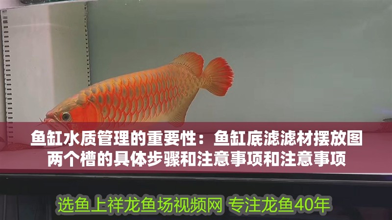 魚缸水質管理的重要性：魚缸底濾濾材擺放圖兩個槽的具體步驟和注意事項和注意事項