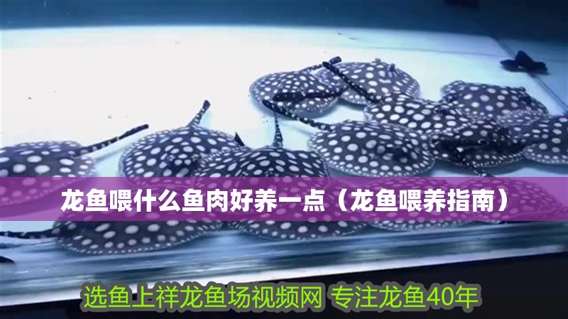 龍魚喂什么魚肉好養(yǎng)一點（龍魚喂養(yǎng)指南）