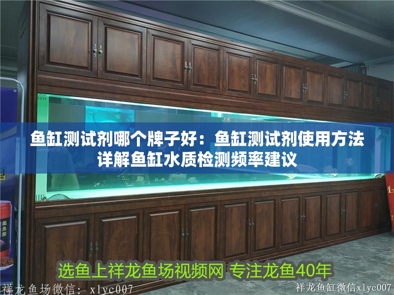 魚缸測(cè)試劑哪個(gè)牌子好：魚缸測(cè)試劑使用方法詳解魚缸水質(zhì)檢測(cè)頻率建議 魚缸測(cè)試劑哪個(gè)牌子好：魚缸測(cè)試劑使用方法詳解魚缸水質(zhì)檢測(cè)頻率建議 魚缸百科