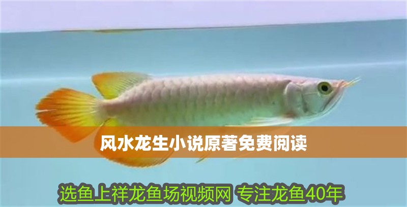 風水龍生小說原著免費閱讀