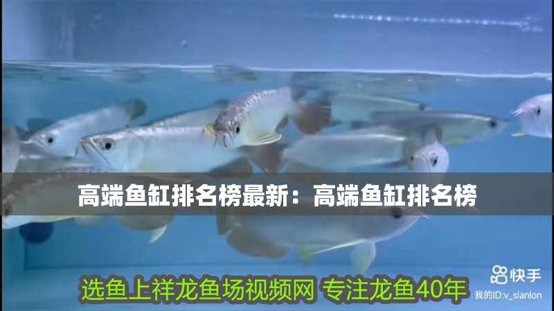 高端魚缸排名榜最新：高端魚缸排名榜