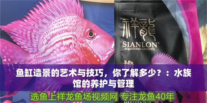 魚缸造景的藝術(shù)與技巧，你了解多少？：水族館的養(yǎng)護(hù)與管理 魚缸造景的藝術(shù)與技巧，你了解多少？：水族館的養(yǎng)護(hù)與管理 魚缸百科