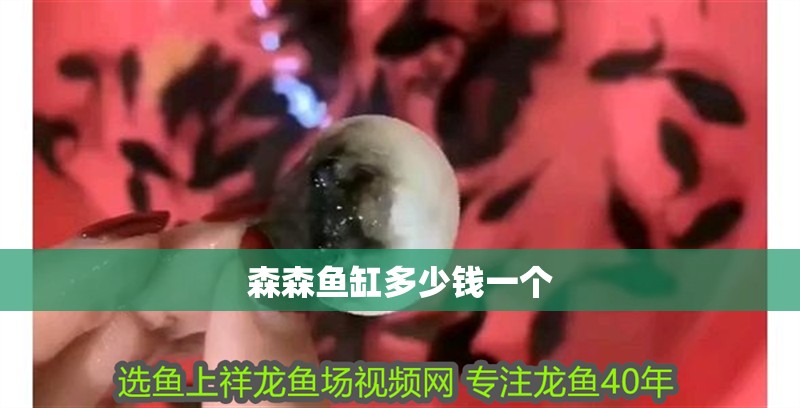 森森魚缸多少錢一個