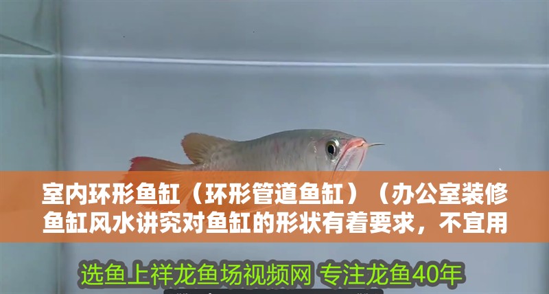 室內(nèi)環(huán)形魚缸（環(huán)形管道魚缸）（辦公室裝修魚缸風(fēng)水講究對魚缸的形狀有著要求，不宜用在財位上布局催財）