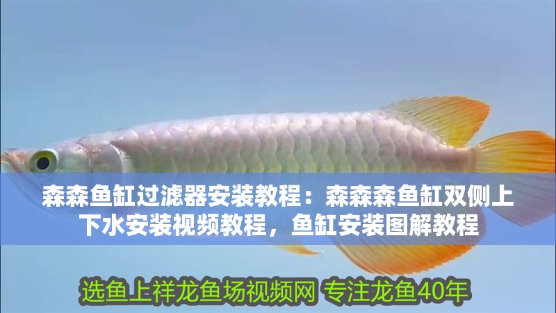 森森魚缸過濾器安裝教程：森森森魚缸雙側上下水安裝視頻教程，魚缸安裝圖解教程