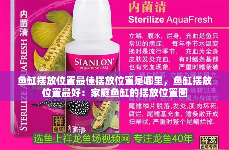 魚缸擺放位置最佳擺放位置是哪里，魚缸擺放位置最好：家庭魚缸的擺放位置圖 魚缸擺放位置最佳擺放位置是哪里，魚缸擺放位置最好：家庭魚缸的擺放位置圖 魚缸百科