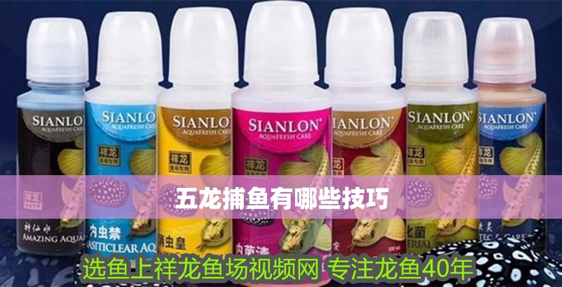 五龍捕魚有哪些技巧