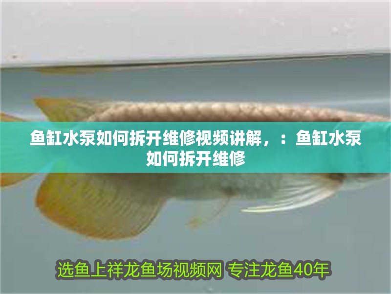 魚缸水泵如何拆開維修視頻講解，：魚缸水泵如何拆開維修