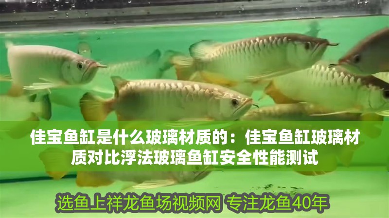 佳寶魚缸是什么玻璃材質的：佳寶魚缸玻璃材質對比浮法玻璃魚缸安全性能測試
