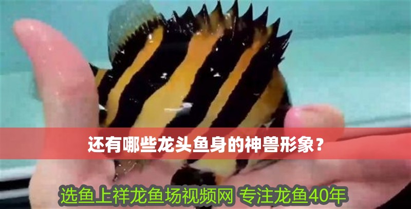 還有哪些龍頭魚身的神獸形象？
