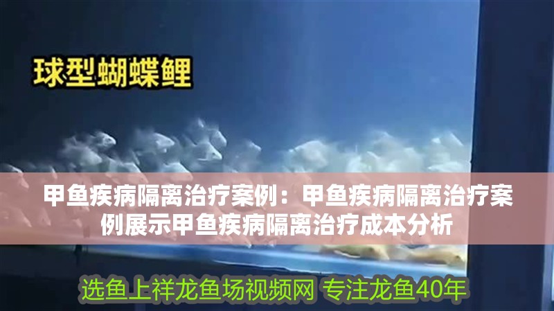 甲魚疾病隔離治療案例：甲魚疾病隔離治療案例展示甲魚疾病隔離治療成本分析