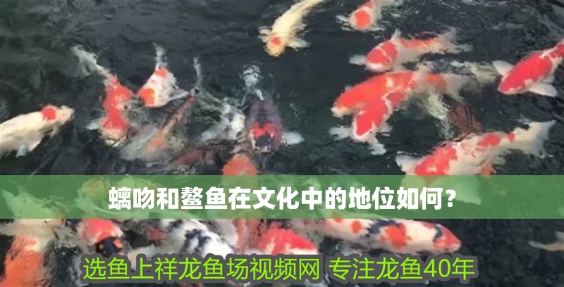 螭吻和鰲魚在文化中的地位如何？