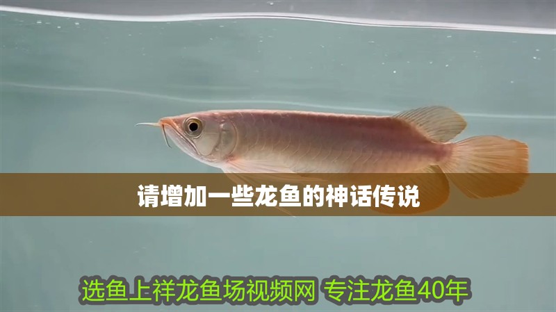 請增加一些龍魚的神話傳說