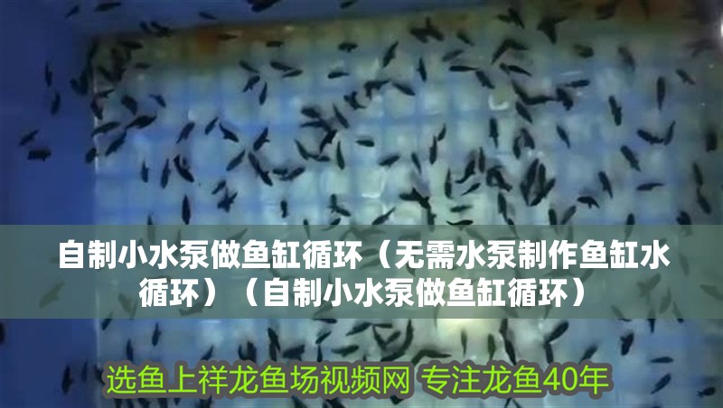 自制小水泵做魚缸循環（無需水泵制作魚缸水循環）（自制小水泵做魚缸循環） 自制小水泵做魚缸循環（無需水泵制作魚缸水循環）（自制小水泵做魚缸循環） 魚缸百科
